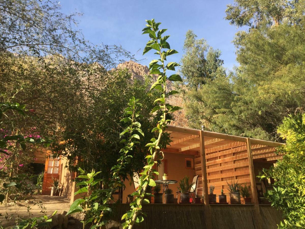 Cabanas El Albaricoque Cochiguaz El Sanjeado 외부 사진